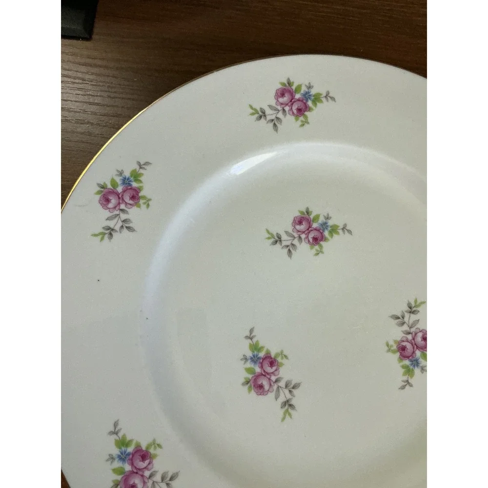 Vintage Graf von Henneberg HEP29 Dinner Plates Set of 4 | German Porcelain China
